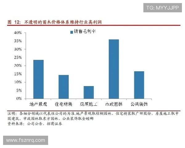 纽约尼克斯重建进程与年轻核心成长轨迹分析 纽约尼克斯重建进程与年轻核心成长轨迹分析